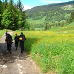 Mission accomplished The trek out through apline meadows Mont_blanc Camo